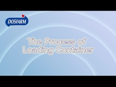 厳格な標準化輸送プロセス